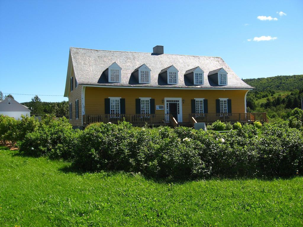 Motel le Noroît L'Anse-au-Griffon Esterno foto